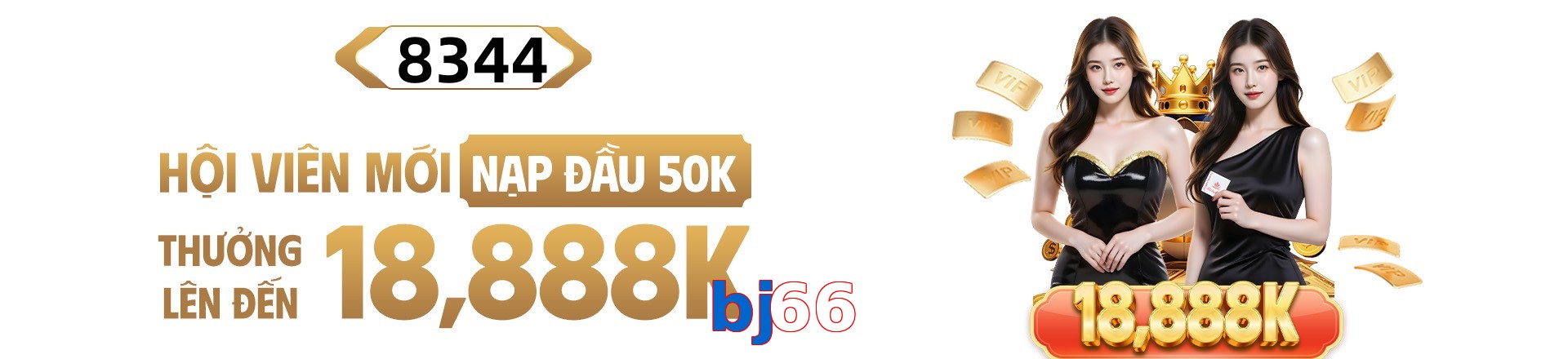 bj66