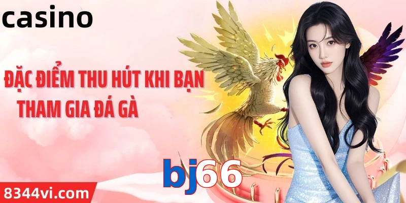 bj66